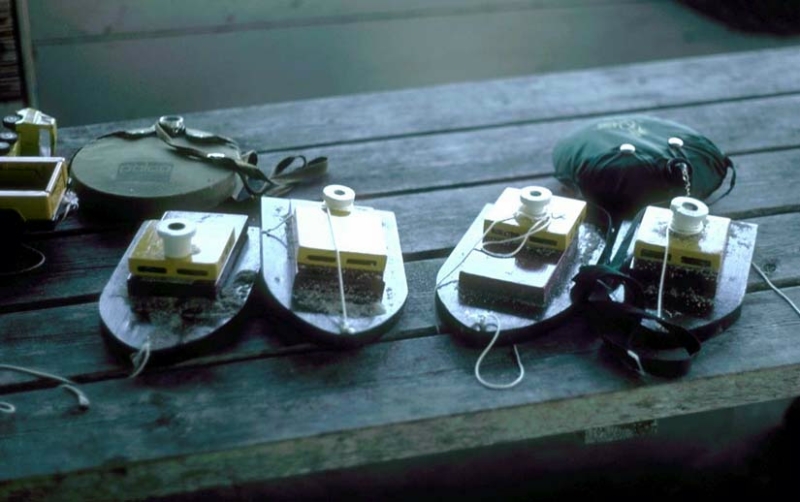 ../Images/Boats for Boys.jpg